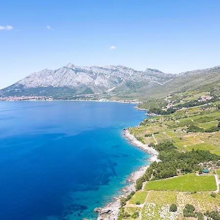 Luxury Navis Villa *