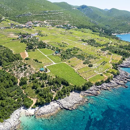 Villa Luxury Navis Orebić