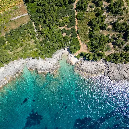 Вилла Luxury Navis